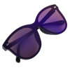 SE-LE05 Leo Series Men's Shades
