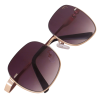 SE-LE23 Leo Series Men's Shades